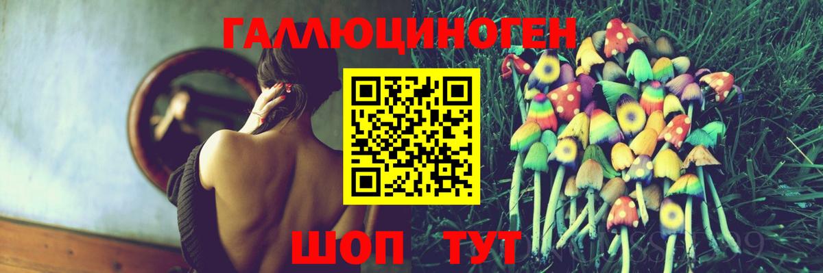 Псилоцибиновые грибы Cubensis Назарово